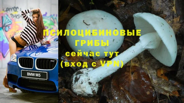 МДМА Алексин