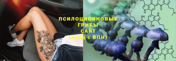 каннабис Алексеевка