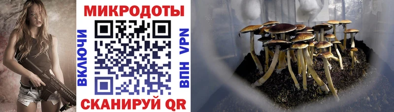 Псилоцибиновые грибы GOLDEN TEACHER  Куровское 